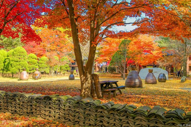 Easy private tour to Nami Island, Garden of Morning Calm - Should you book this private tour to Nami Island and the Garden?