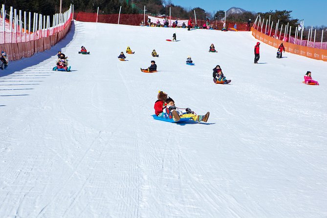 Elysian Gangchon Winter Ski + Eobi Ice Valley Day Tour fr Seoul - Timing, Traffic, and Why 11 to 13 Hours Is the Real Cost
