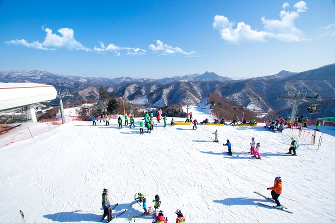 Elysian Gangchon Winter Ski with Nami Island Day Tour from Seoul - Key highlights that matter