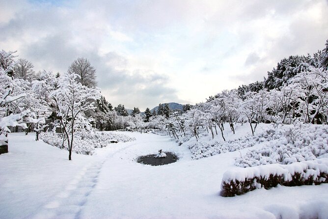 Elysian Gangchon Winter Ski with Nami Island Day Tour from Seoul - Nami Island in 3.5 hours: walking, bikes, and Winter Sonata mood