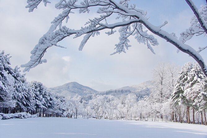 Elysian Gangchon Winter Ski with Nami Island Day Tour from Seoul - Timing, group size, and comfort on a shared-vehicle day