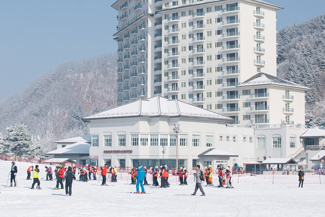 Elysian Gangchon Winter Ski with Nami Island Day Tour from Seoul - Who should book this tour, and who should skip it