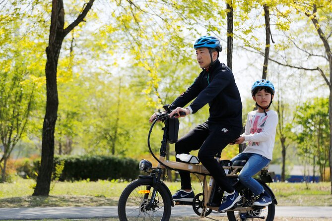 ENKO Electric Bike Ride on The Han River Bike Path in Seoul - The family angle: kids under 13 ride free on the back seat