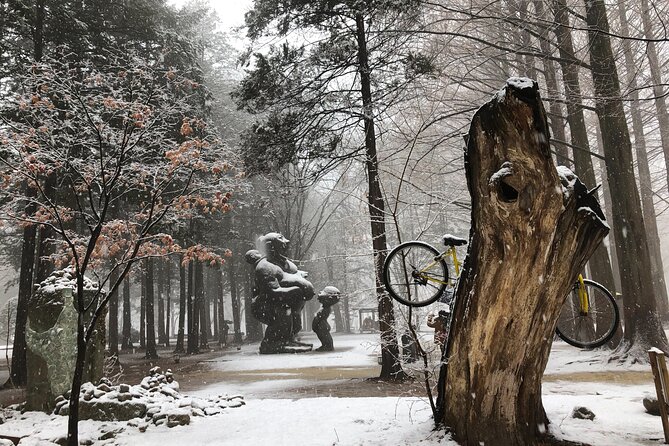 Eobi Ice Valley / Elysian Ski Resort / Nami Island - Nami Island in Winter: Easy Walking and Big Photo Payoff