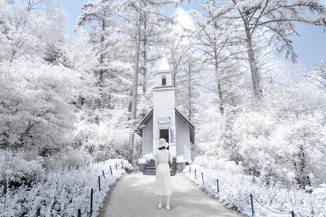 Eobi Ice Valley, Nami Island, Morning Calm and Rail Bike Seoul - Key highlights you will care about