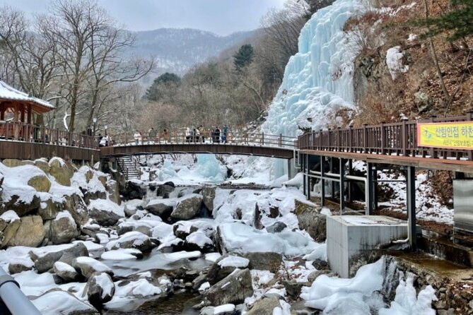 Eobi Ice Valley& Nami Island with Garden of Morning Calm Trip - Key Highlights You’ll Care About