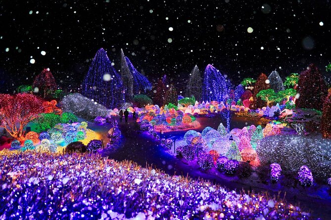 Eobi Ice Valley& Nami Island with Garden of Morning Calm Trip - Nami Island: Tree-Lined Romance Plus Real Walk Time