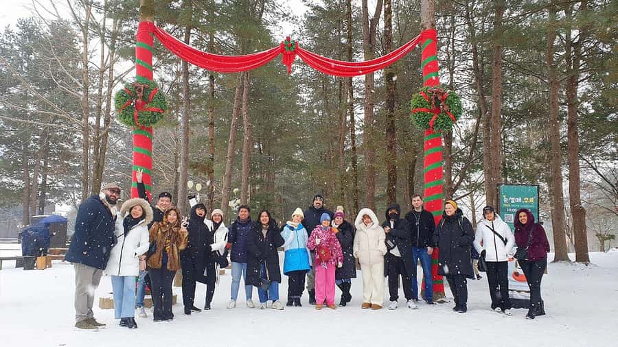 Eobi Ice Valley & Nami (+ Light Festival, Railbike, Alpaca) - Practical Tips That Make the Day Feel Easier