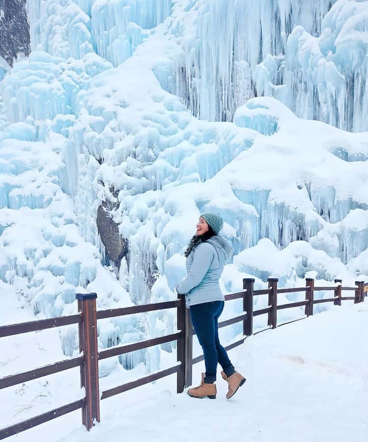 Eobi Ice Valley & Nami (+ Light Festival, Railbike, Alpaca) - Nami Island: Tree-Lined Romance With K-Drama Gravity