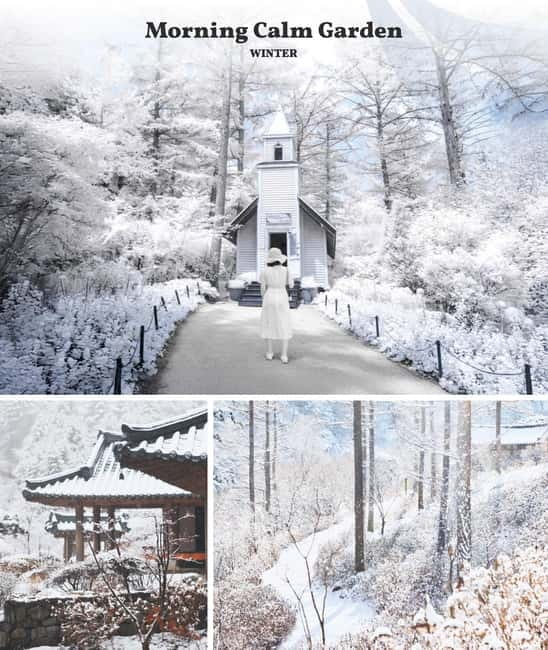 Eobi Ice Valley & Nami & Railbike & Petite & Morning Calm - Garden of Morning Calm: the Light Festival moment