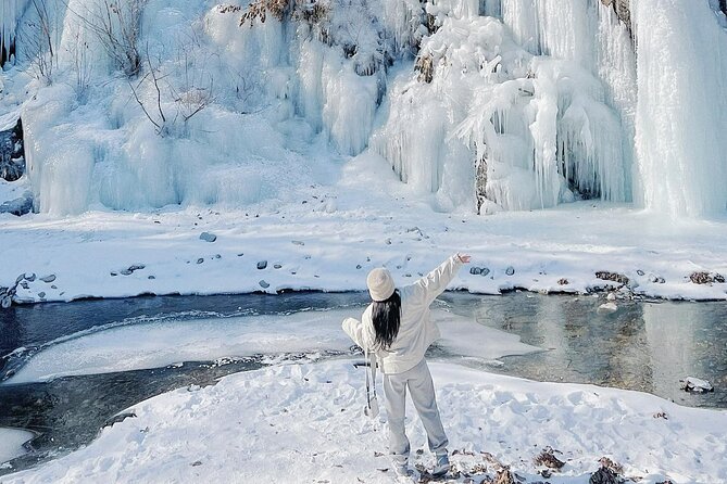 Eobi Ice Wall & Nami Island & Morning Calm Light Festival - Key Points at a Glance