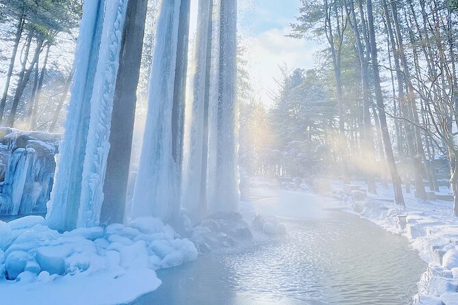 Eobi Ice Wall & Nami Island & Morning Calm Light Festival - Garden of Morning Calm: Night Lighting With Your Ticket Included
