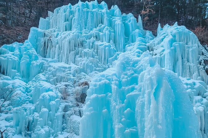 Eobi Ice Wall & Nami Island & Morning Calm Light Festival - What to Bring for a Smooth Day
