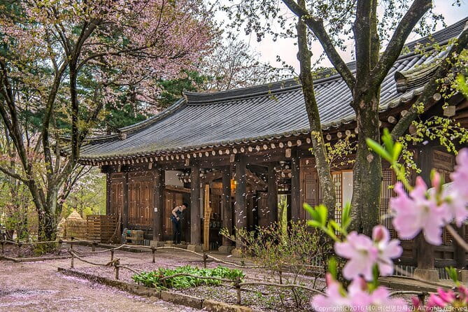 Eobi+Nami+Hanbok Tour with Rail Bike or Strawberry Option - Key Things I’d Tell a Friend Before Booking