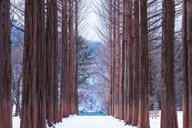 Eobi Valley(Winter), Strawberry, Nami Island & Railbike fr Seoul - A one-day winter escape built around three big wins