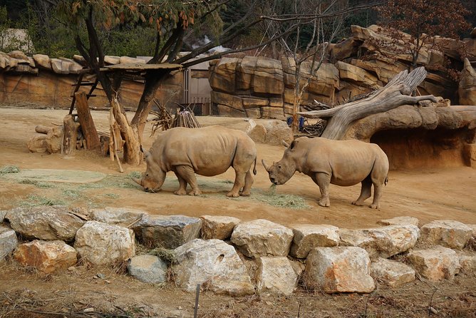 EVERLAND "From Hotel to Hotel" [Premium Private Tour: Only One Group for You] - Value and Price: What $188 Buys You Here