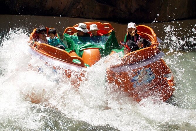 Everland Theme Park Admission Ticket with Transfer from Seoul - Practical value: does this $66.67 price make sense?