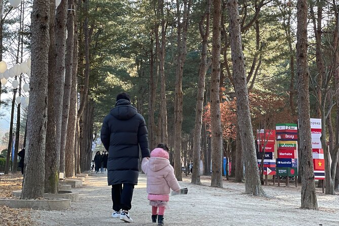Four Seasons of Nami Island with Garden of Morning Calm Tour - Garden of Morning Calm: why this place feels like a movie set you can walk through