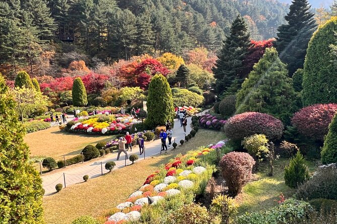 Four Seasons of Nami Island with Garden of Morning Calm Tour - The ginseng shopping stop at 청하고려인삼(주): short, convenient, optional