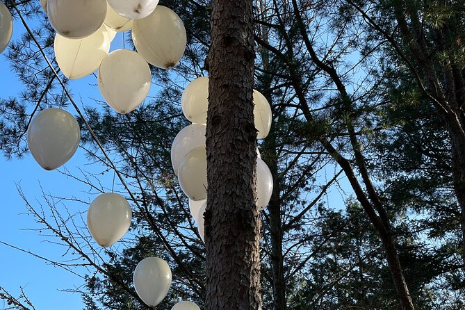 Four Seasons of Nami Island with Garden of Morning Calm Tour - Price and logistics: what you get for $88, and what to double-check