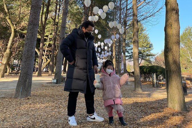 Four Seasons of Nami Island with Garden of Morning Calm Tour - Who this tour suits best, and who might want another option