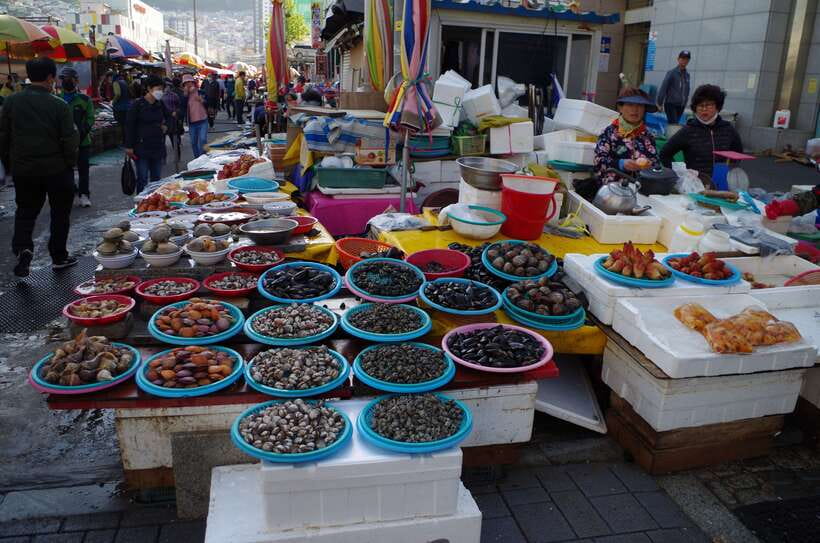From Seoul: 5-Day Tour of Korea with UNESCO Sites - Key things that make this tour worth your time