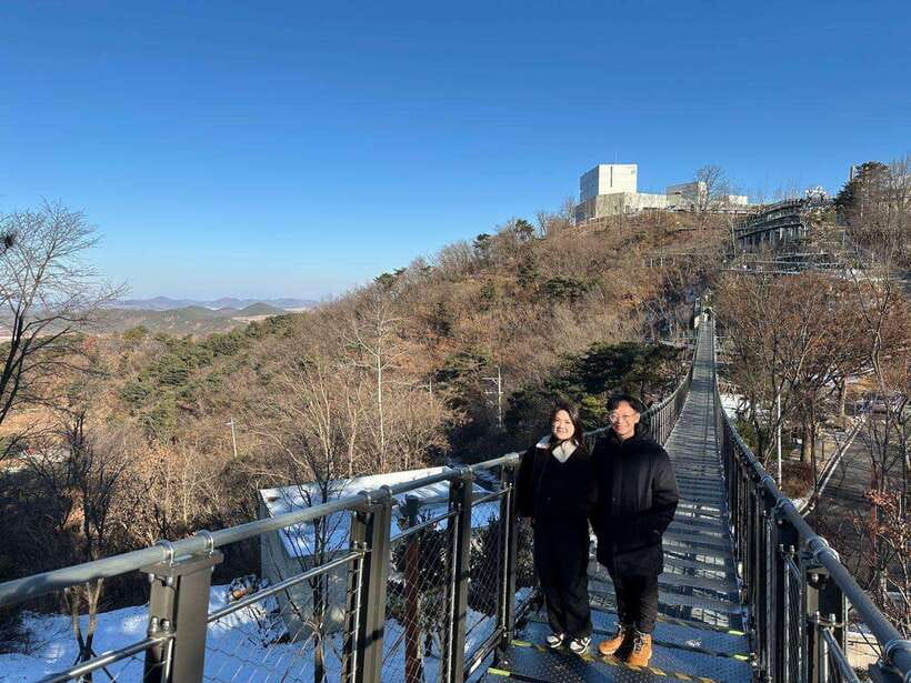 From Seoul: Aegibong Starbucks Observatory & DMZ View - Who this tour suits best (and who should choose differently)