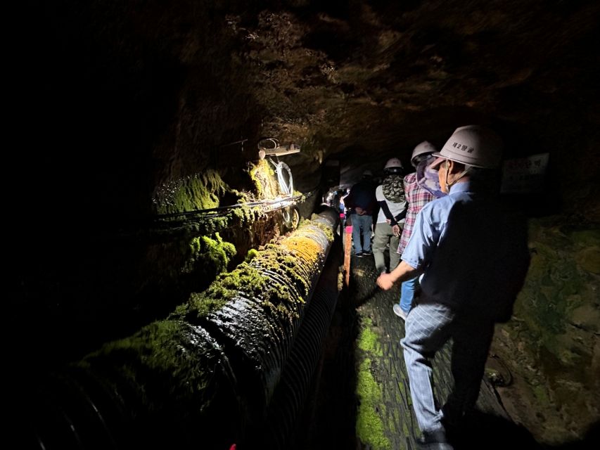 From Seoul: Cheorwon DMZ and 2nd Tunnel Tour with Lunch - Hantangang Y-Bridge: the scenic finale that breaks the tension