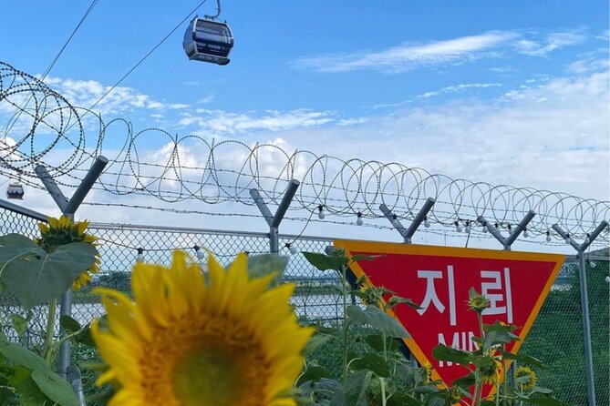 From Seoul: Cost-Benefit DMZ Shuttle Bus tour - Peace Gondola and the experience of the boundary line