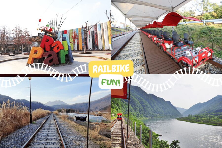 From Seoul: Full Day Trip to Alpaca Farm with Rail Bike - From Seoul to Gangwon: pickups, timing, and why the bus matters