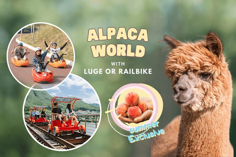 From Seoul: Full Day Trip to Alpaca Farm with Rail Bike - What the guides do for you (and why names matter)