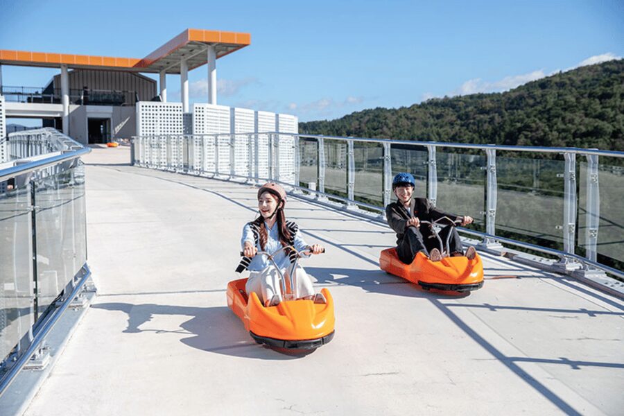 From Seoul: Full Day Trip to Alpaca Farm with Rail Bike - Price and value: is $59 a good deal?