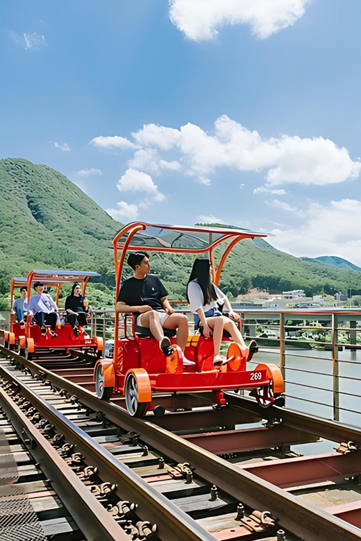 From Seoul: Full Day Trip to Alpaca Farm with Rail Bike - Who this trip is for (and who should think twice)