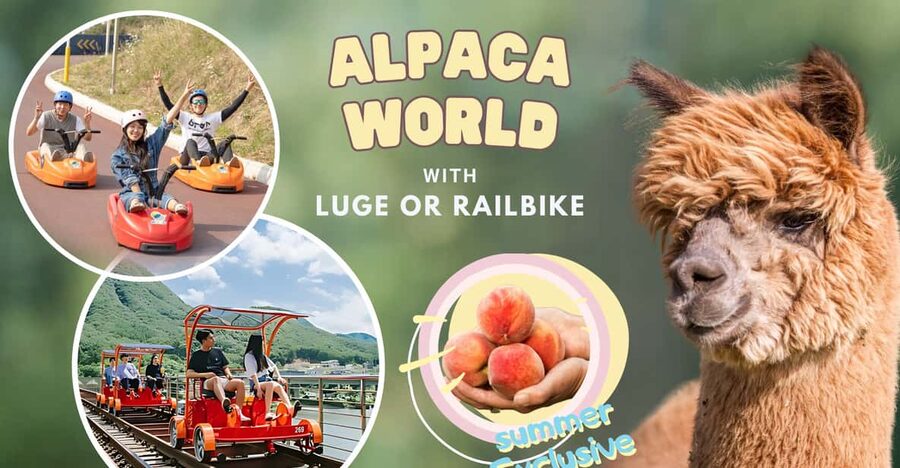 From Seoul: Full Day Trip to Alpaca Farm with Rail Bike - Quick checklist before you go