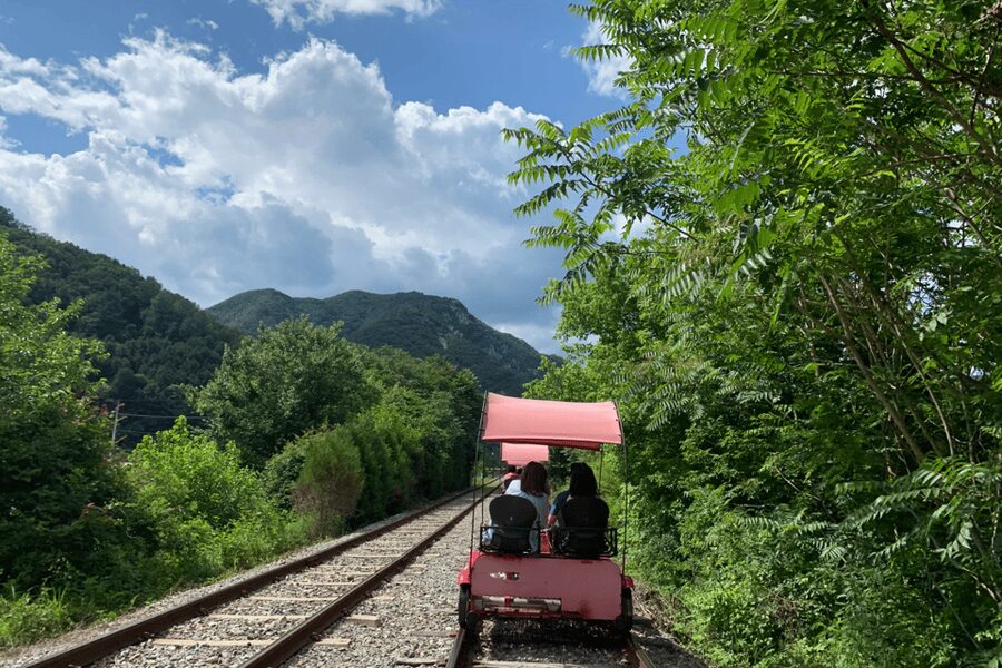 From Seoul: Full Day Trip to Alpaca Farm with Rail Bike - Vivaldi Park Luge: the speed option and its rules