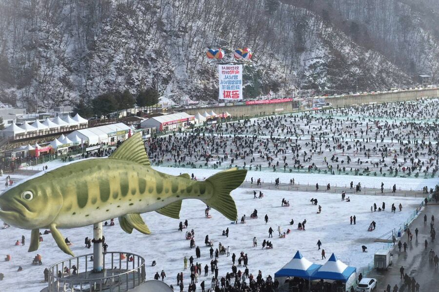 From Seoul: Hwacheon Ice Fishing and Lighting Festival Tour - Should you book this Hwacheon and Morning Calm winter day trip?