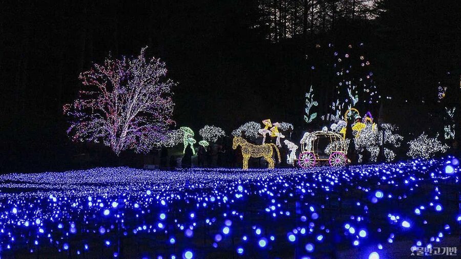 From Seoul: Hwacheon Ice Fishing and Lighting Festival Tour - Two winter festivals in one day from Seoul