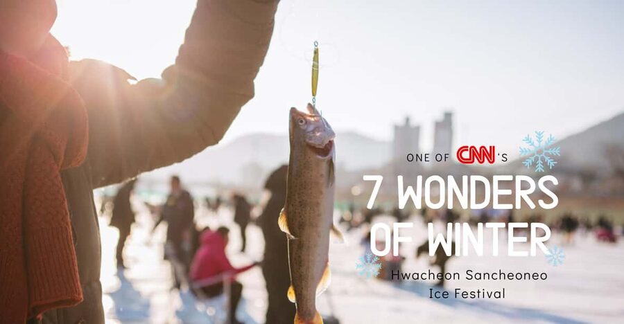 From Seoul: Hwacheon Ice Fishing and Lighting Festival Tour - Garden of Morning Calm at night: lights, sculptures, and slow walking