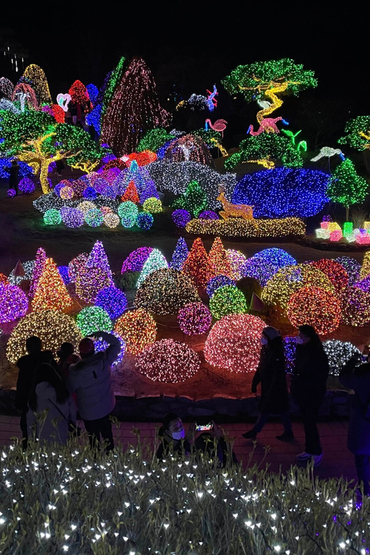 From Seoul: Hwacheon Ice Fishing and Lighting Festival Tour - Price and value: what $67 buys you on a long winter day