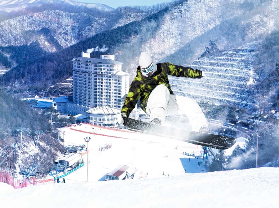 From Seoul: Korea Ski Tour - Jisan Forest Resort - Who This Tour Fits Best (and Who Should Skip It)