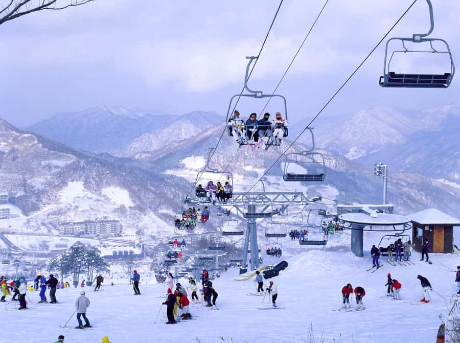 From Seoul: Korea Ski Tour - Jisan Forest Resort - How the Seoul Pickup Works (and Why It Matters)