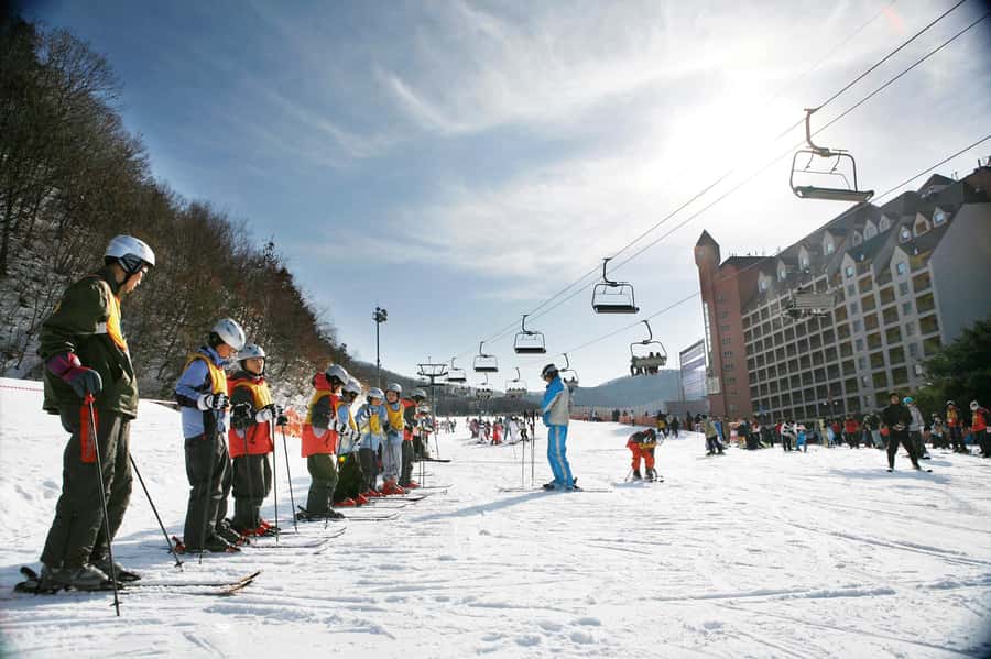 From Seoul: Korea Ski Tour - Jisan Forest Resort - Your 120-Minute Beginner Lesson: What It’s Really Doing