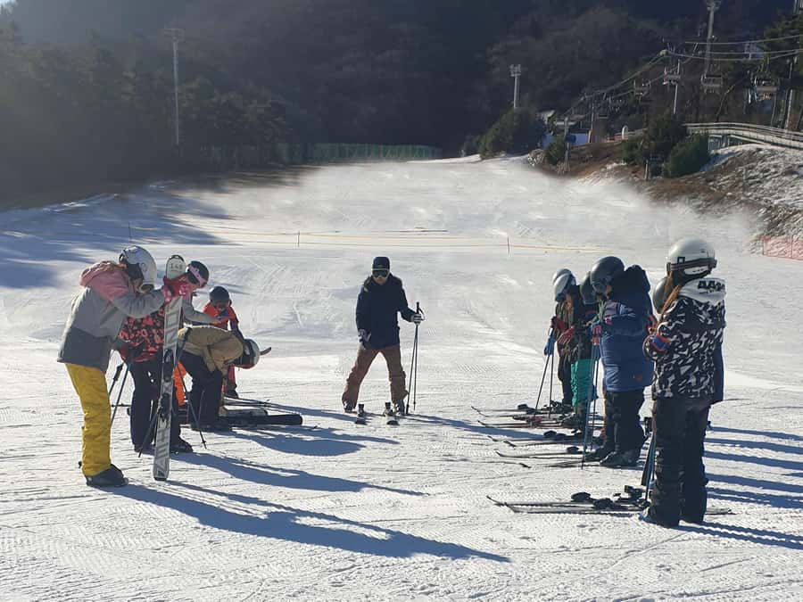 From Seoul: Korea Ski Tour - Jisan Forest Resort - Price and Value: Why $35 Can Work for a Beginner