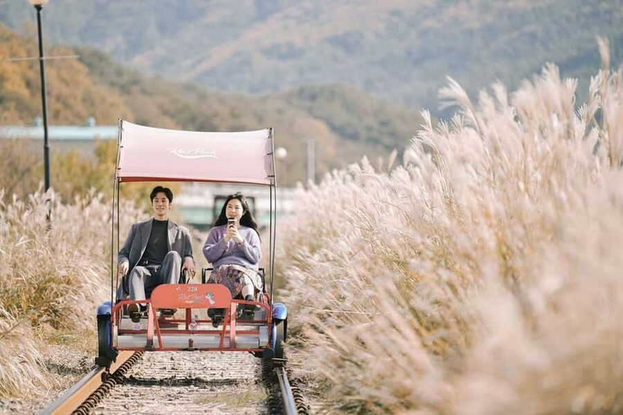 From Seoul: Nami Island, K-drama Garden & Rail Bike Day Tour - Garden of Morning Calm, from morning gardens to winter lights