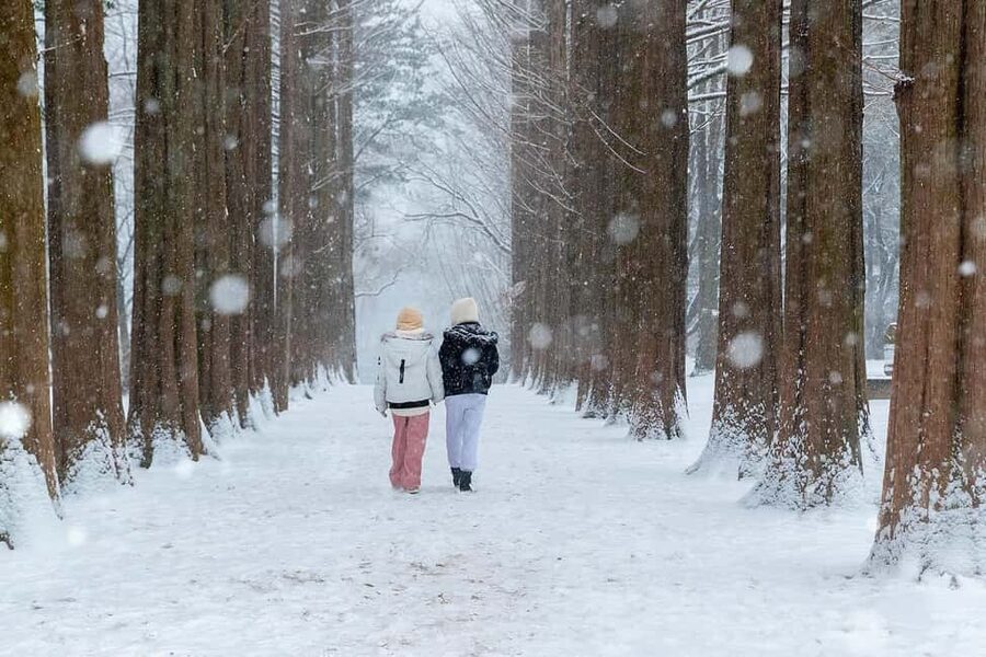 From Seoul: Nami Island, K-drama Garden & Rail Bike Day Tour - Gangchon Rail Bike: the fun pedal ride you can add on
