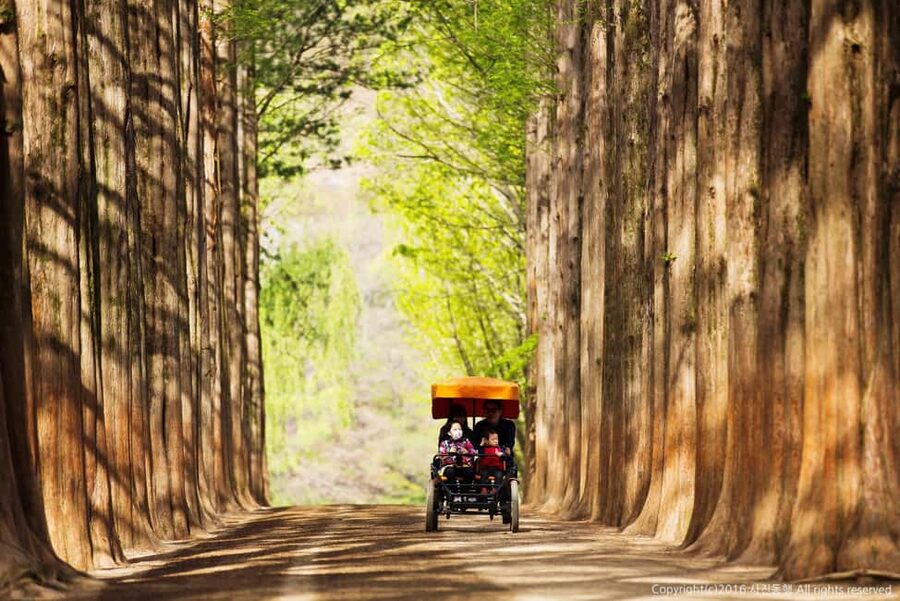 From Seoul: Nami Island, K-drama Garden & Rail Bike Day Tour - What you should pack, and how to dress for comfort