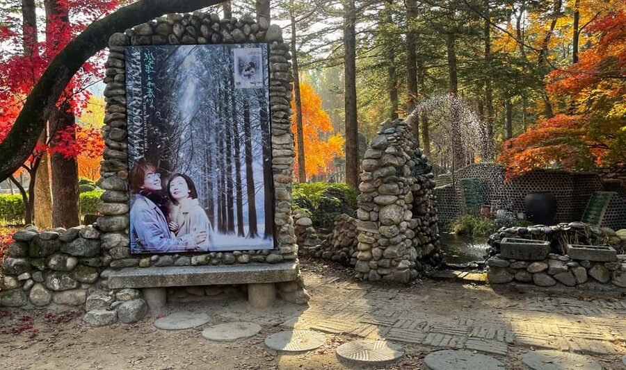 From Seoul: Nami Island, K-drama Garden & Rail Bike Day Tour - Who this day trip is best for