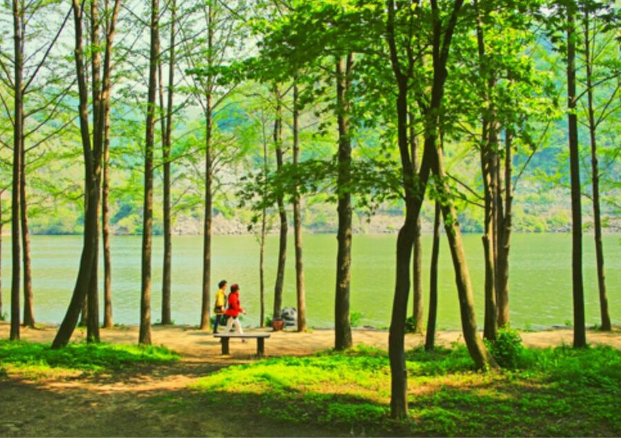 From Seoul: Nami Island, K-drama Garden & Rail Bike Day Tour - Should you book this Nami Island and rail bike day tour?