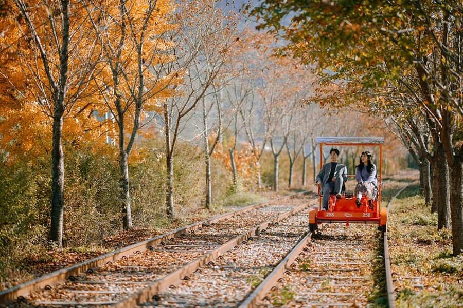 From Seoul: Nami Island, K-drama Garden & Rail Bike Day Tour - Nami Island: walk the movie-set romance, then breathe