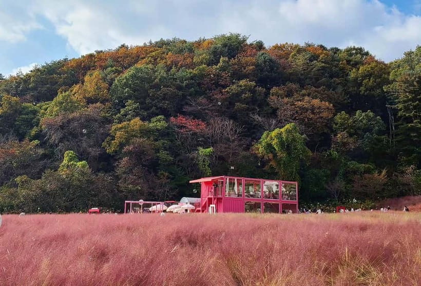 From Seoul: Pocheon, Sanjung Lake and Bidulginang Fall Trip - Key things that make this trip work